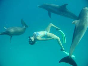 swim_small.jpg